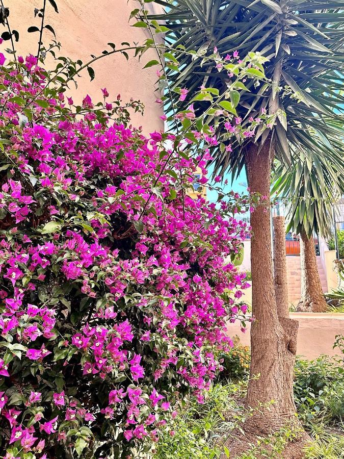 Art-Apart Caronte In Riviera Del Sol, Mijas Costa Sitio de Calahonda ภายนอก รูปภาพ